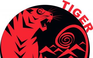 Marriage compatibility of couples born in the year of the Tiger and Rat