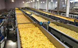 Čipsu ražošana: ienesīgs bizness pārtikas rūpniecībā Kartupeļu čipsu ražošanas iekārta