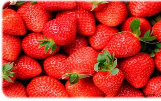 Strawberries: health benefits and harm to women