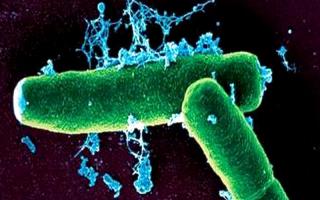 Infekce způsobené mykobakteriemi (Mycobacterium tuberculosis, leprae, avium atd.)