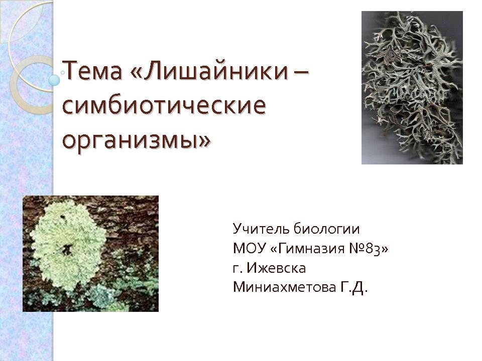 Значение лишайников в природе. Лишайники в природе и жизни человека. Лишайники в жизни человека. Лишайники значение. Лишайники значение в природе и жизни человека.