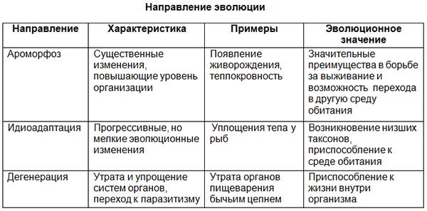 Ароморфоз адаптация дегенерация